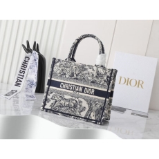 Christian Dior Shopping Bags